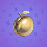 Precious Peach #170 Precious Peach #170