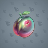Precious Peach #1702
