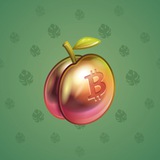 Precious Peach #1740