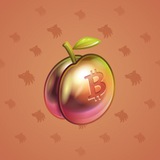 Precious Peach #1795 Precious Peach #1795