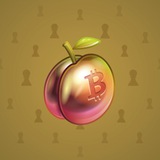 Precious Peach #1833 Precious Peach #1833