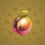 Precious Peach #2141