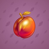 Precious Peach #2411