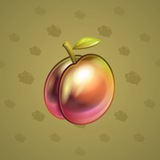 Precious Peach #2559 Precious Peach #2559