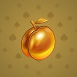 Precious Peach #2593 Precious Peach #2593