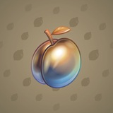 Precious Peach #2837 Precious Peach #2837