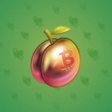 Precious Peach #2867 Precious Peach #2867