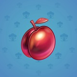 Precious Peach #337 Precious Peach #337