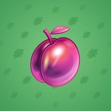 Precious Peach #369 Precious Peach #369