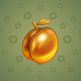 Precious Peach #436