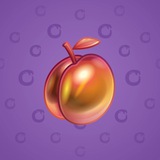 Precious Peach #482 Precious Peach #482