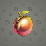 Precious Peach #514