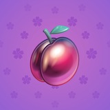 Precious Peach #559