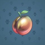 Precious Peach #560 Precious Peach #560