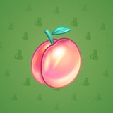 Precious Peach #568