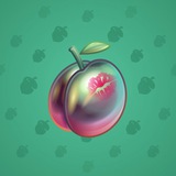Precious Peach #680 Precious Peach #680