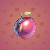 Precious Peach #693 Precious Peach #693