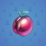 Precious Peach #72