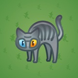 Scared Cat #1014 Scared Cat #1014