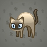 Scared Cat #10384 Scared Cat #10384
