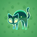 Scared Cat #10440 Scared Cat #10440