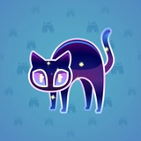 Scared Cat #10483 Scared Cat #10483