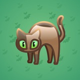 Scared Cat #10529