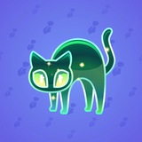 Scared Cat #10621 Scared Cat #10621