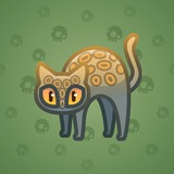 Scared Cat #10646 Scared Cat #10646