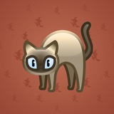 Scared Cat #10664