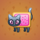Scared Cat #10803 Scared Cat #10803