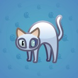 Scared Cat #10901 Scared Cat #10901