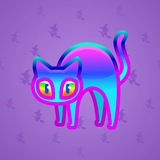 Scared Cat #11105 Scared Cat #11105