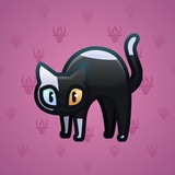 Scared Cat #11116 Scared Cat #11116