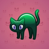 Scared Cat #11133 Scared Cat #11133