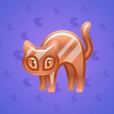 Scared Cat #11150 Scared Cat #11150