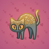 Scared Cat #11165 Scared Cat #11165