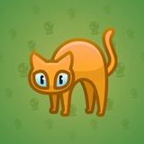 Scared Cat #11198