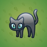 Scared Cat #11204