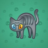 Scared Cat #11211 Scared Cat #11211