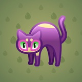Scared Cat #11222 Scared Cat #11222