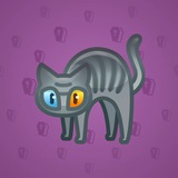 Scared Cat #11281