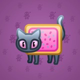 Scared Cat #11303 Scared Cat #11303