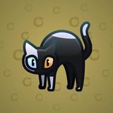 Scared Cat #11324