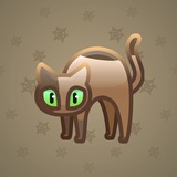 Scared Cat #11445
