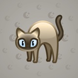 Scared Cat #11522