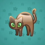 Scared Cat #11535 Scared Cat #11535