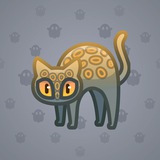 Scared Cat #11539 Scared Cat #11539