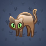 Scared Cat #11543