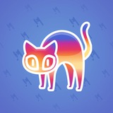 Scared Cat #11562 Scared Cat #11562